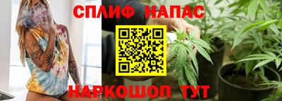 мяу мяу мука Будённовск