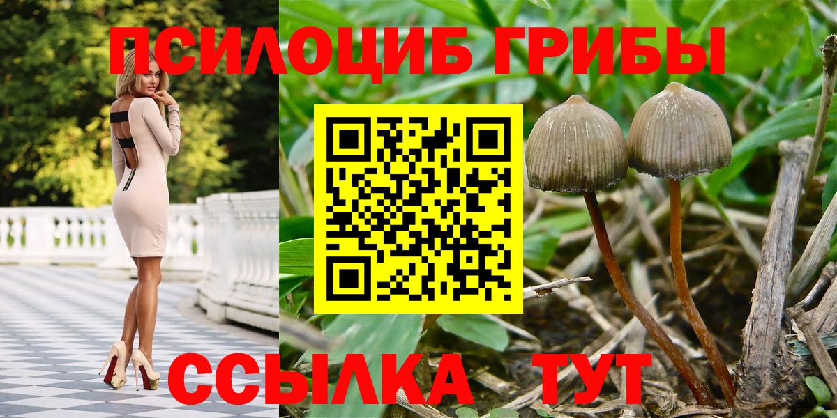 Галлюциногенные грибы Magic Shrooms Снежинск