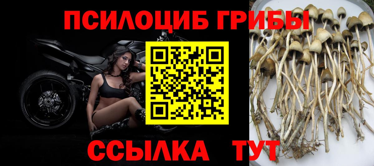 Снежинск  Псилоцибиновые грибы мухоморы  Псилоцибиновые грибы MAGIC MUSHROOMS  Вход с VPN 